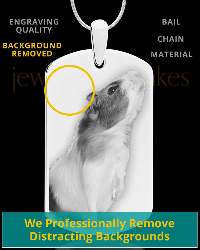 Photo Engraved Large Dog Tag Pet Pendant Stainless Steel