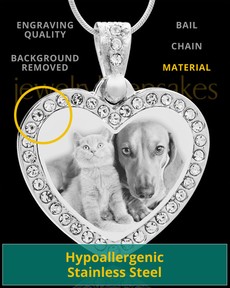 Photo Engraved Gem Heart Pet Pendant Stainless Steel