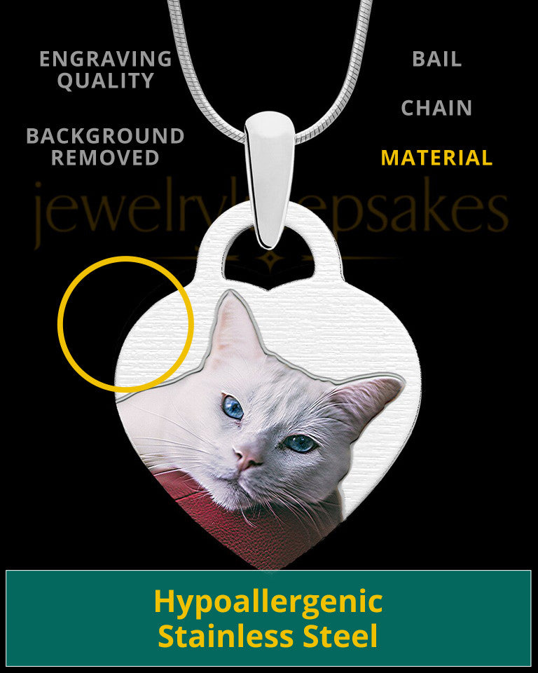 Small Heart Full Color Photo Engraved Pet Pendant Stainless