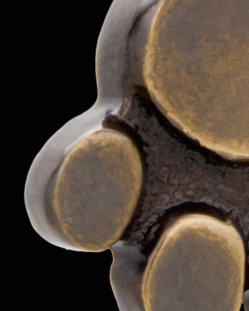 Brass Petite Paw Cremation Pendant