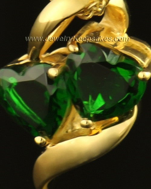 14k Gold Envious Cremation Necklace