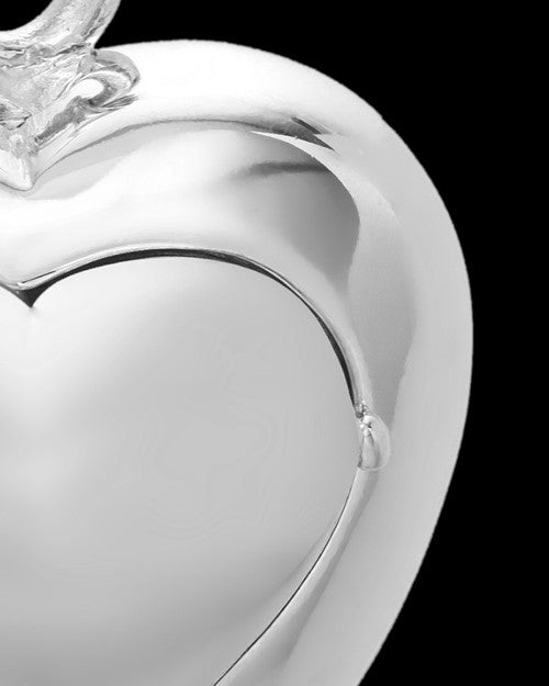 Cremation Urn Jewelry Sterling Silver Purity Heart Keepsake