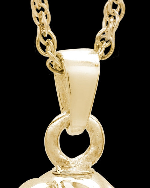 Gold Plated Traditional Companion Infinity Urn Pendant - 2 Person