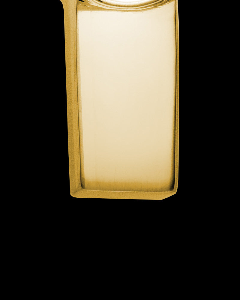 Ash Keepsake 14K Gold Dedication Paw Cross Keepsake