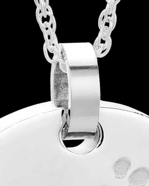 Stainless Taking A Stroll Rectangle Pet Keepsake