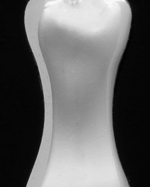Sterling Silver Best Pal Bone Keepsake Jewelry
