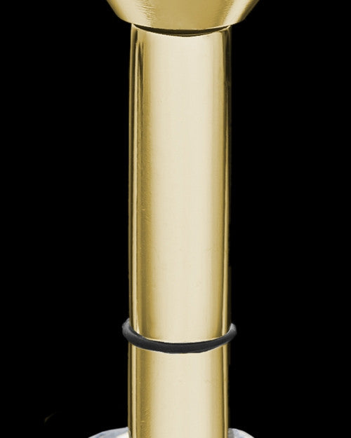 Gold Plated Stainless Millenium Cremation Pendant with Trusting Charm