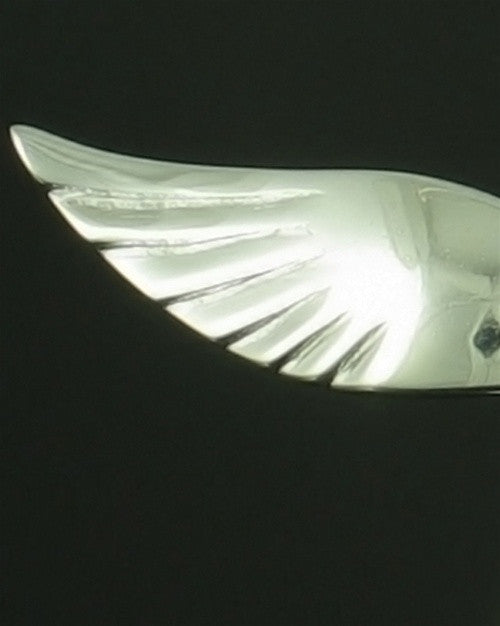 Necklace Urn Sterling Silver Starling Keepsake